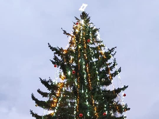 Rozsvícení vánočního stromku ve strakonické nemocnici